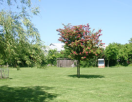 Pension Seestern